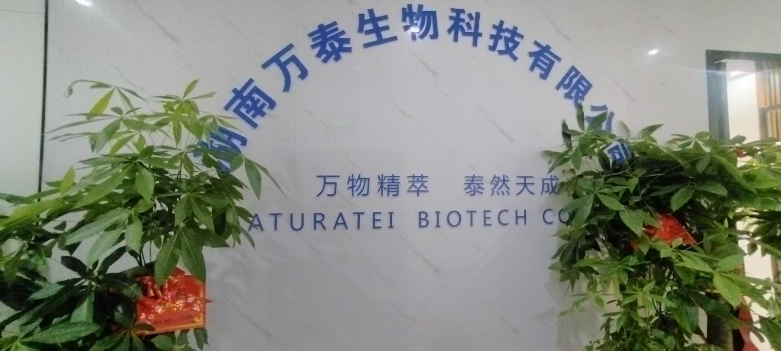 1767507386421035997.jpg 微信图片_20251127094937_35_1567.jpg